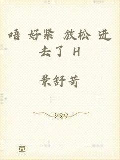 唔 好紧 放松 进去了 H